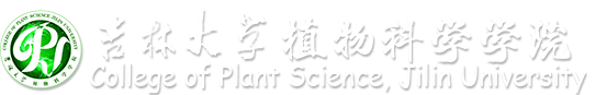 pa集团官网入口（en）