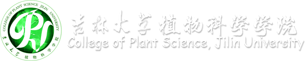 PA集团官网